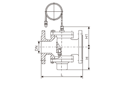 自力式壓(yā)差控制閥(fá)(圖1)