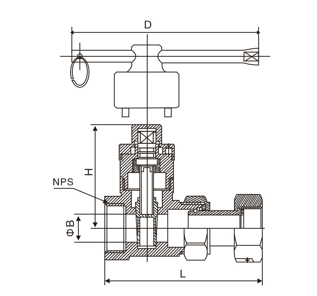 磁性鎖閉(bi)活接止回閘閥(fa)(圖1)