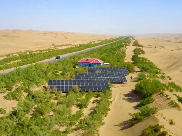 塔裏木(mu)油田綠色“光”景無(wu)限好